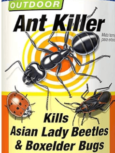 TERRO Outdoor Ant Killer Spray